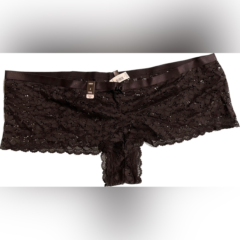 Torrid Curve SZ 4 Cheeky